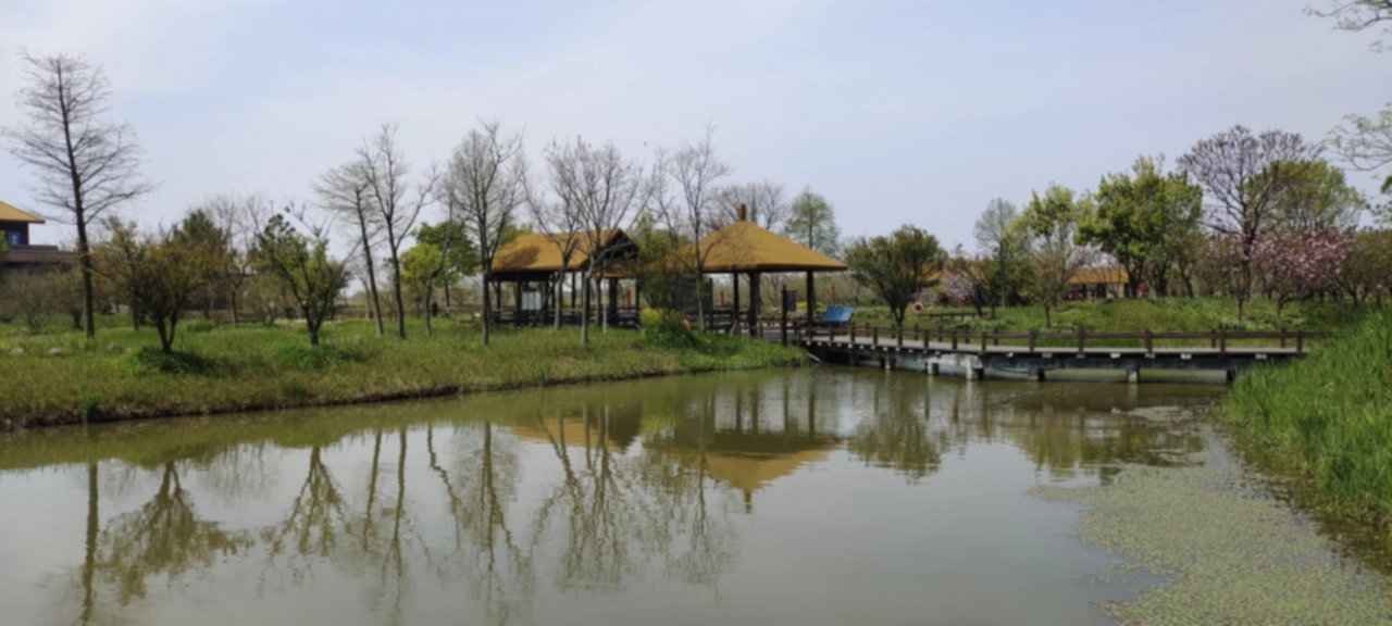 杭州湾湿地公园
