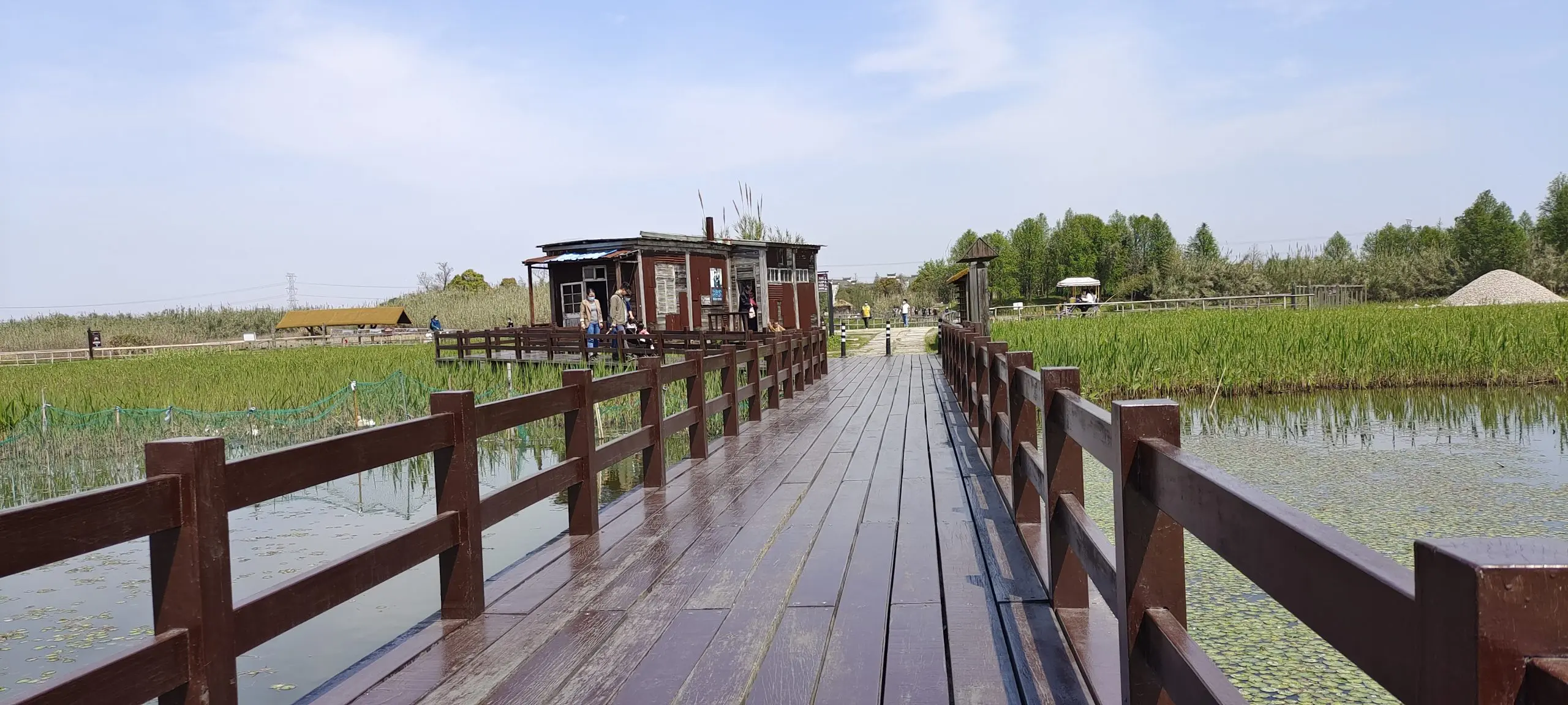 杭州湾湿地公园-邓先生的博客