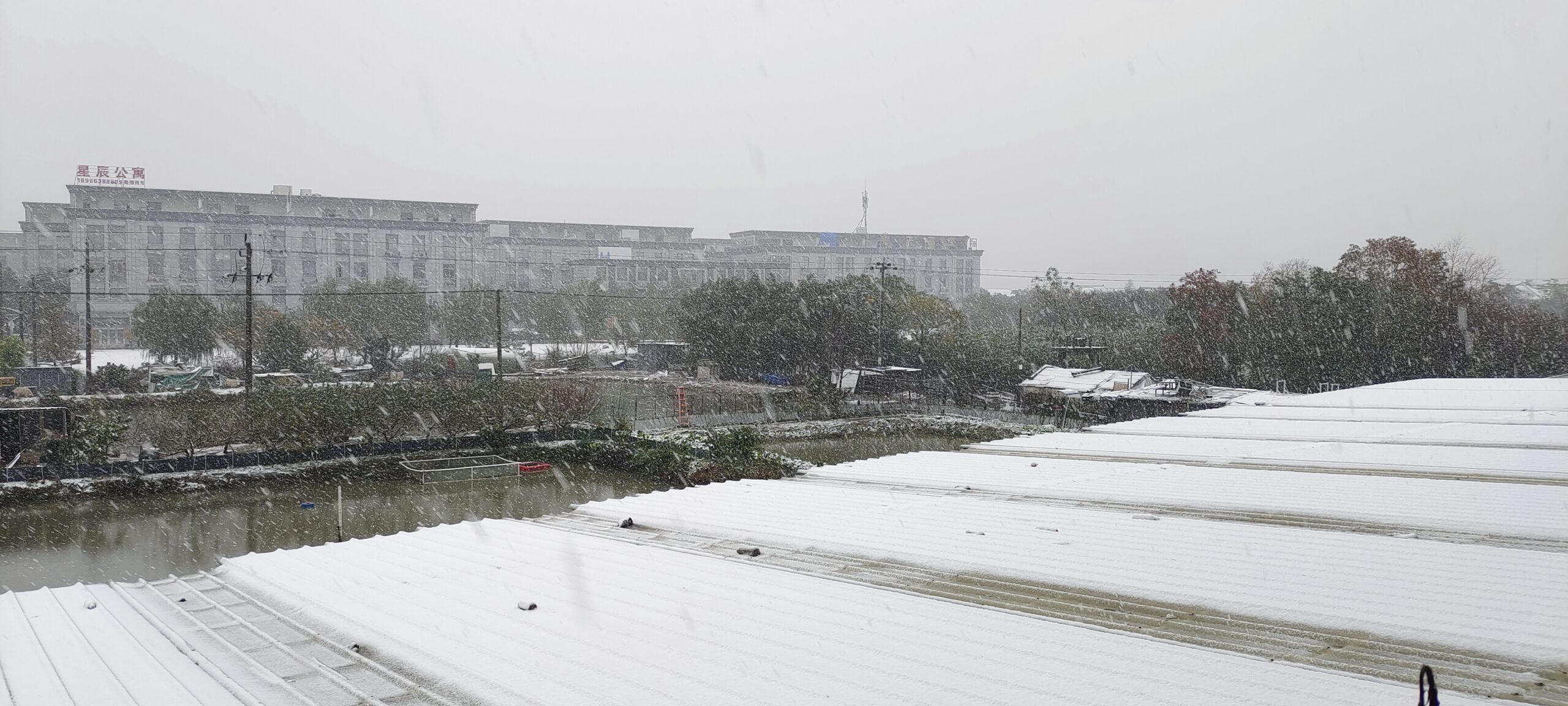 <font color=#ffd111>宁波的第一场雪</font>-邓先生的博客